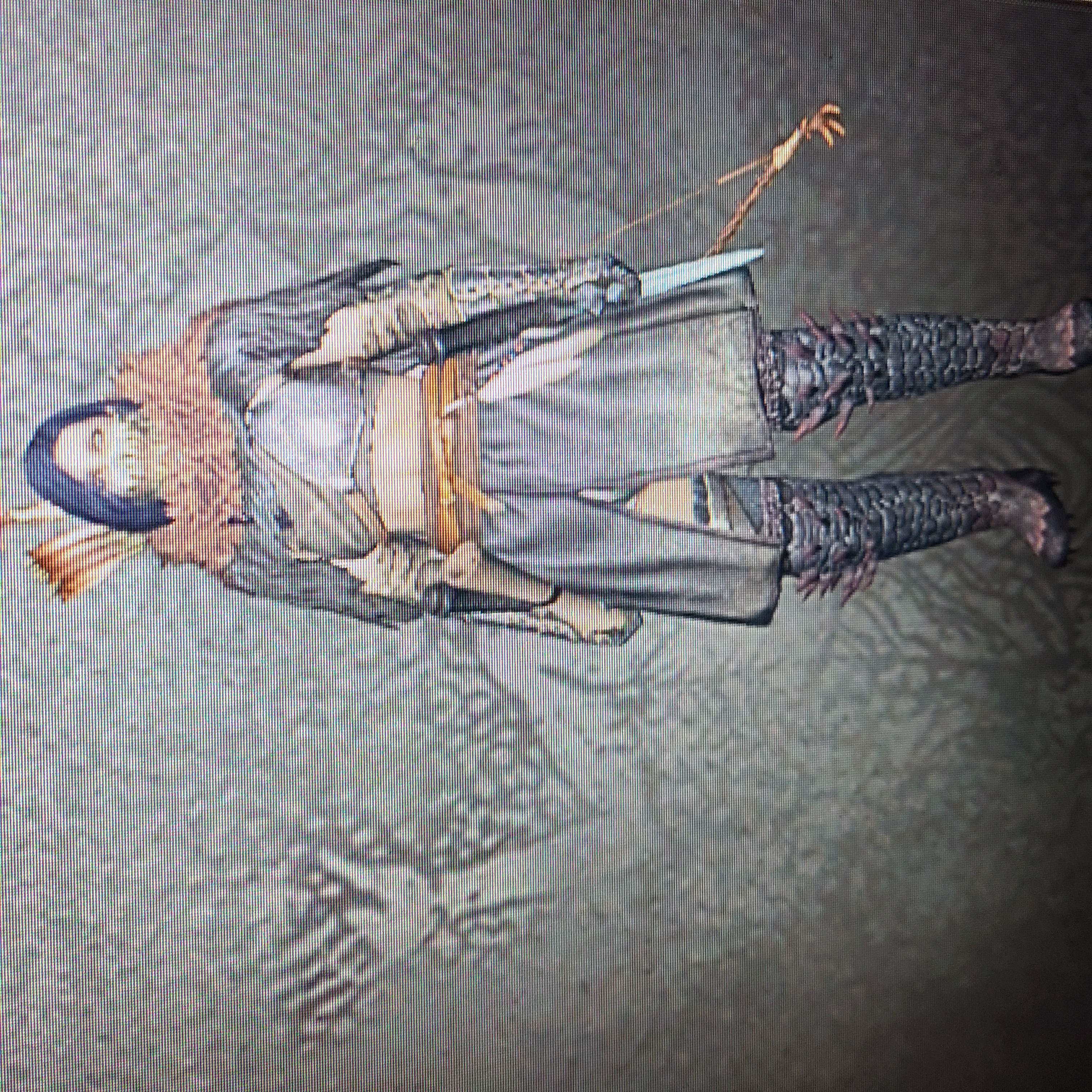 Pawn Gael